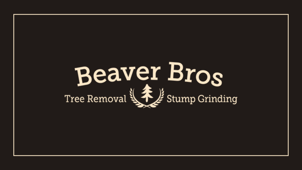 beaver-bros