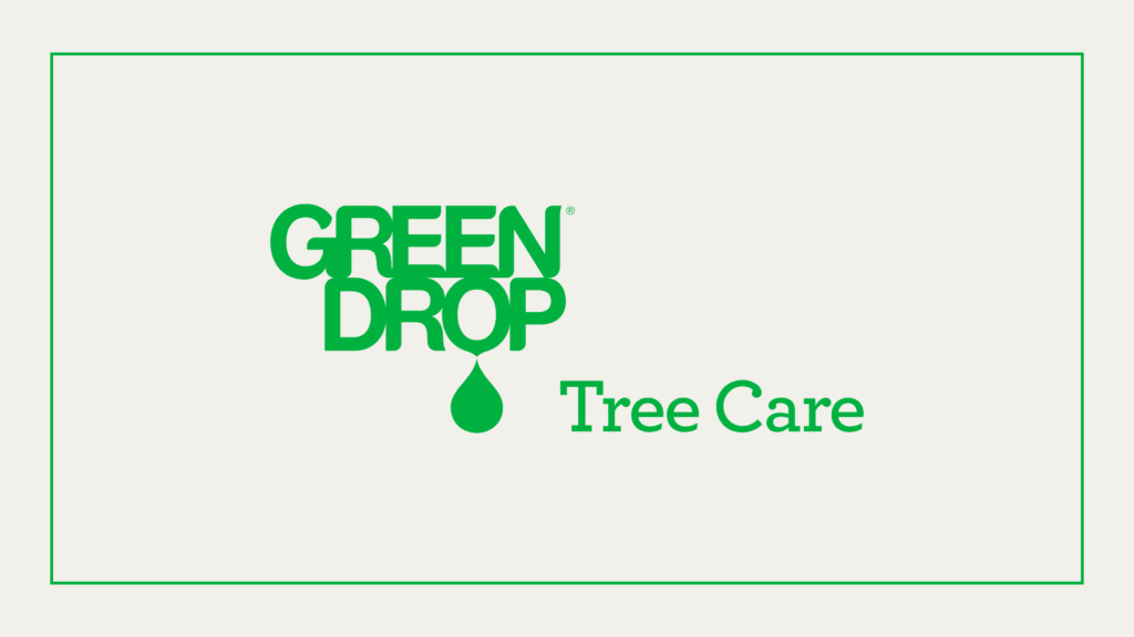 green-drop-tree-care