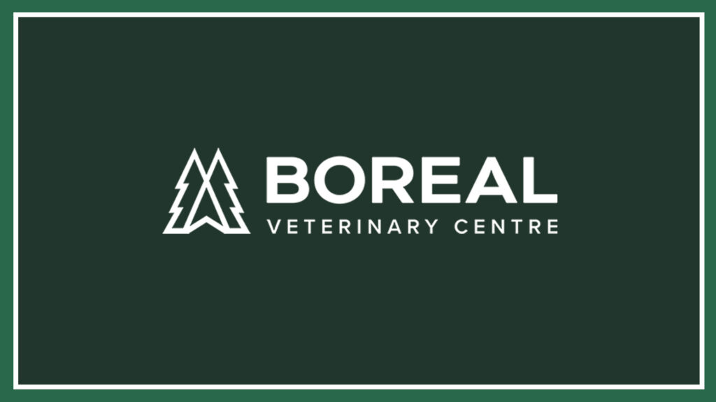 boreal-veterinary-centre-logo