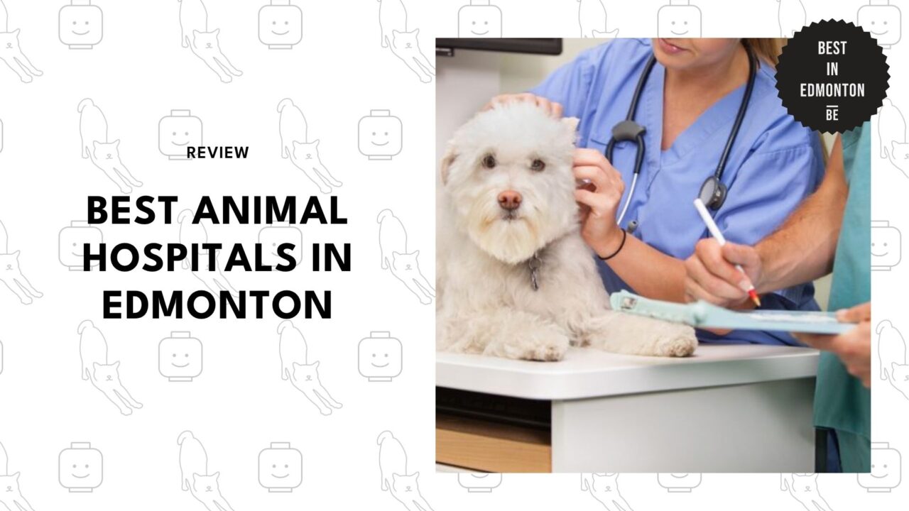 best-animal-hospitals-edmonton-banner