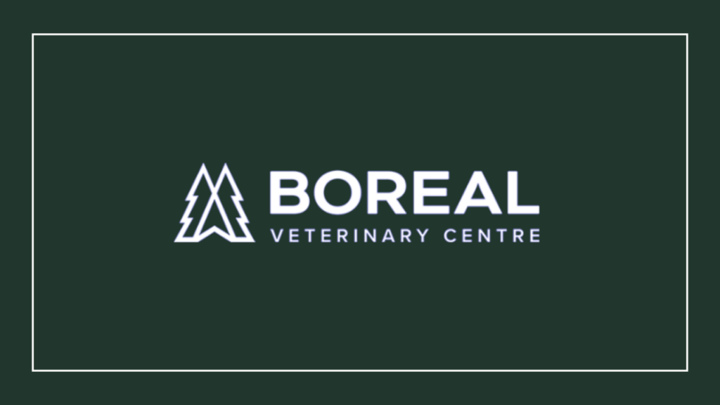 boreal-veterinary-centre-logo