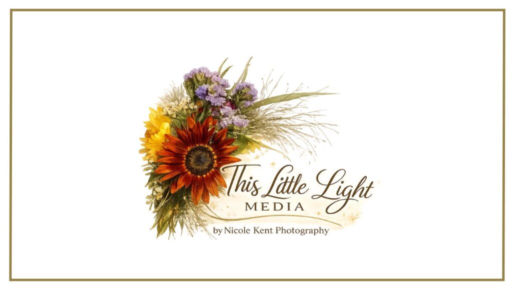 this little light media logo